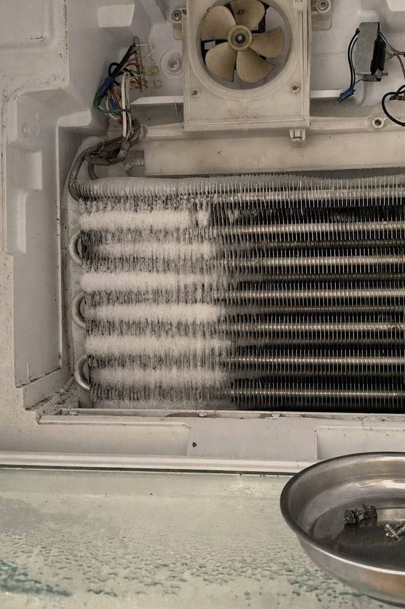 Evaporator coil and fan exposed behind the removed rear panel of a refrigerator compartment