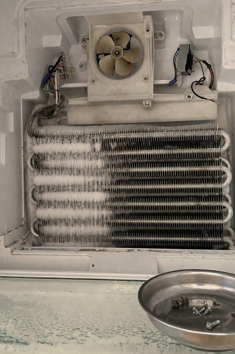 Evaporator coil visible behind the removed rear panel of a freezer compartment with the fan housing above it